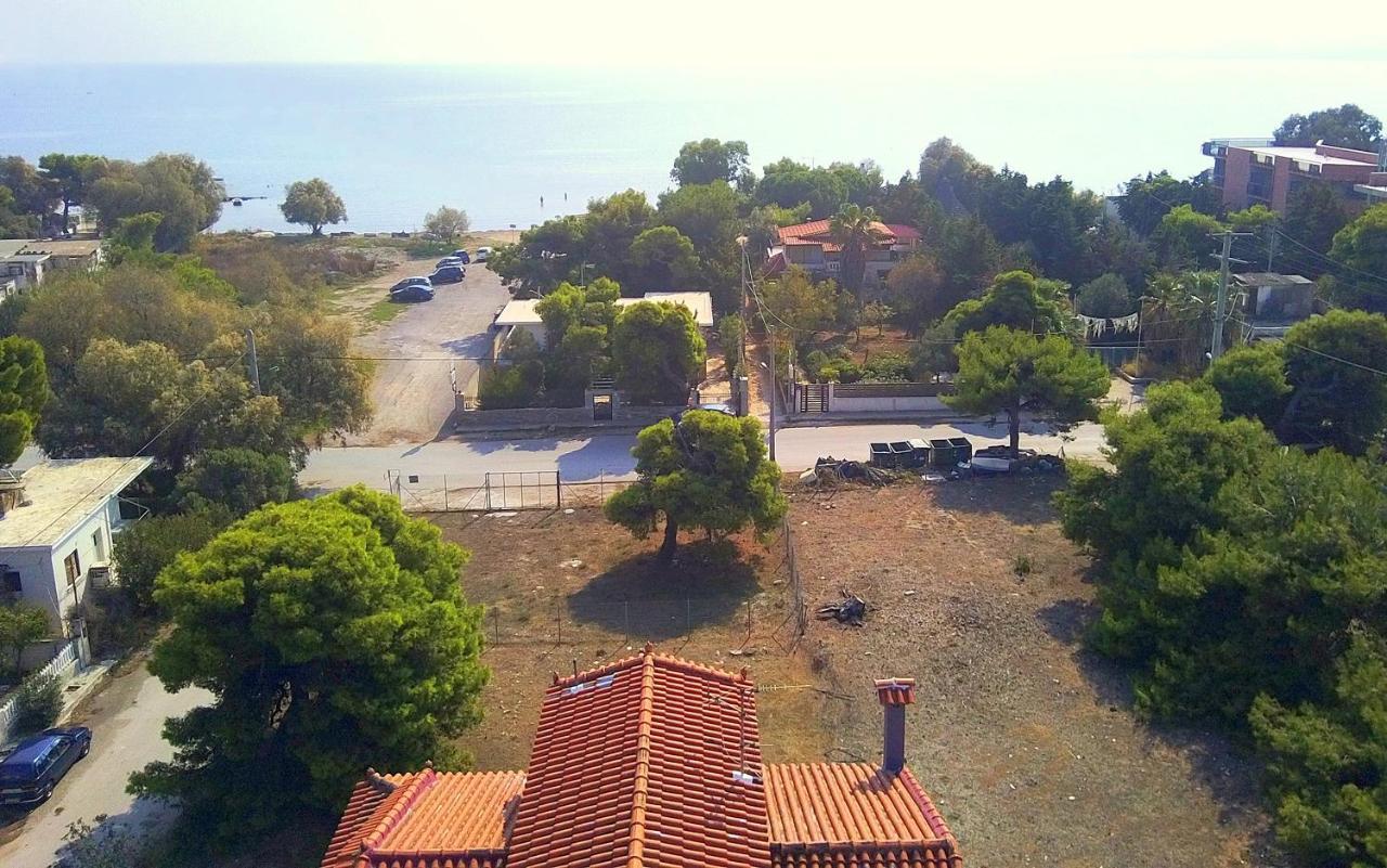Augoustinos - Sea Side Luxury Apartments Artemida  Zewnętrze zdjęcie